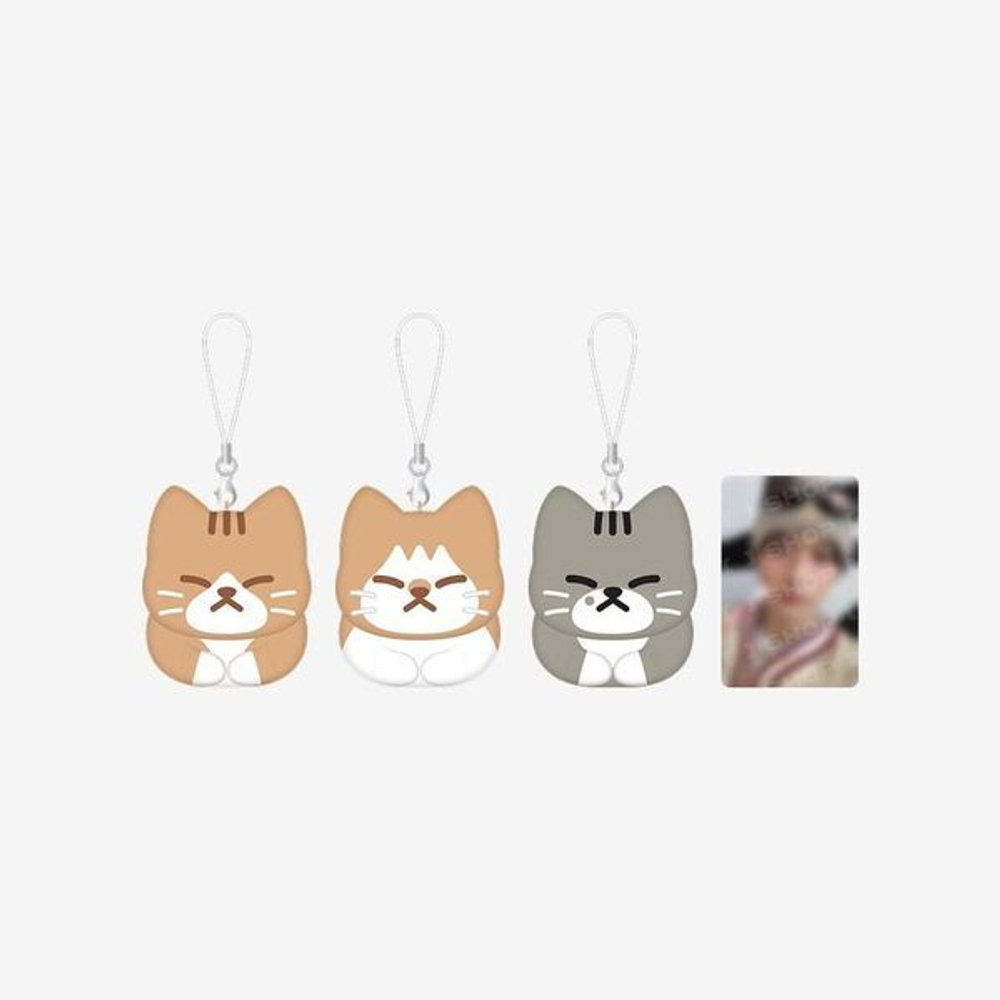 Мерч Stray Kids - dominATE : celebrATE [SOON-DOONG-DORI KEYRING SET by Lee Know]