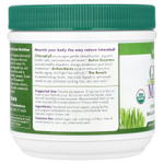 Green Foods, Green Magma®, порошок сока из травы ячменя, 150 г (5,3 унции)