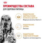 Royal Canin Cocker Adult Кокер Эдалт Корм сухой для взрослых собак породы Кокер Спаниель от 12 месяцев 12кг