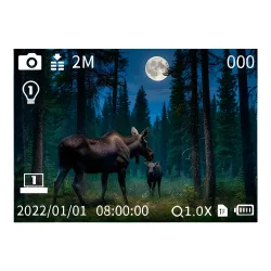 Монокуляр ночного видения Veber DigiView NM-03 цифровой - экран с изображением