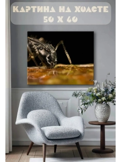 Картина на стену 40 X 50 Насекомое