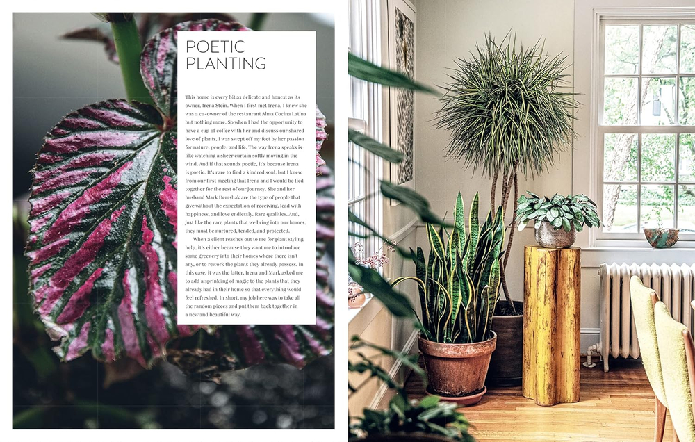 Living Wild: How to plant style your home and cultivate happiness