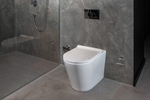 Подвесной унитаз OPS-WHT-15955P180UFSM