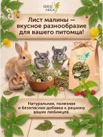 Малина лист лесной целый для чая и здоровья