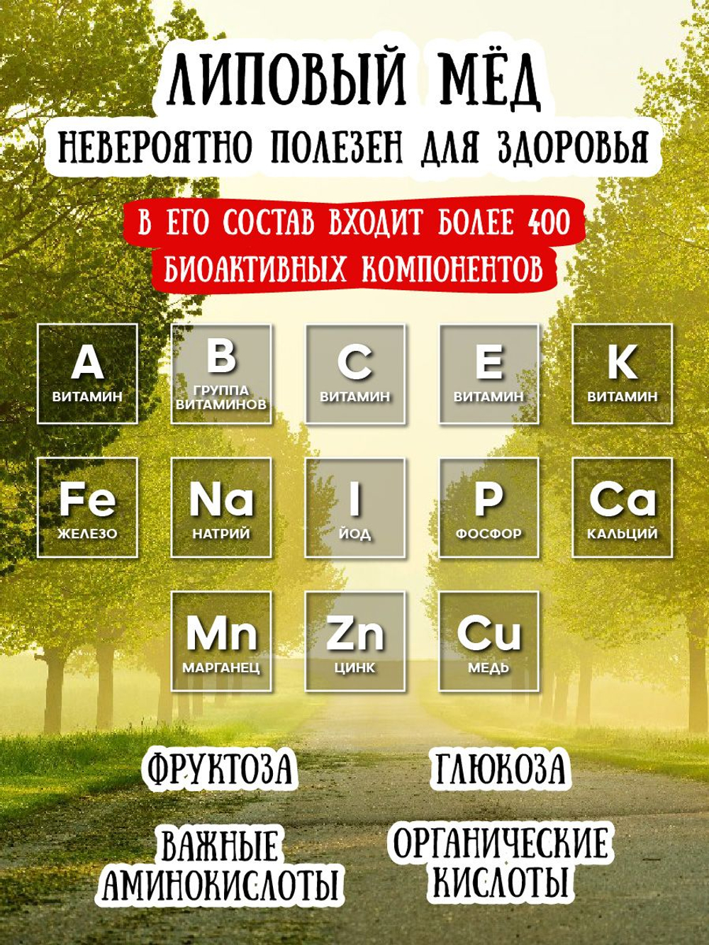 Мёд натуральный липовый, 1100 г