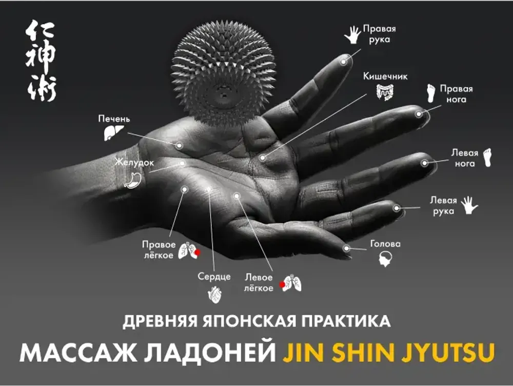 Массажное кресло FUJIMO 氣 Combat 4D Серый