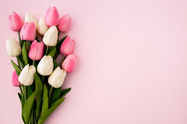 8 Марта: Магия Весеннего Цветения в Лучших Подарках для Королев Сердец! 8 Марта: Магия Весеннего Цветения в Лучших Подарках для Королев Сердец!