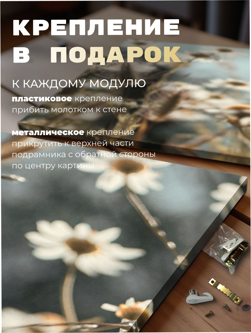 Картина Упорство ромашек модульная 50x70см 3шт., на деревянном подрамнике