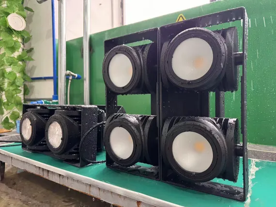 STAGELighting Blinder 800 ip65