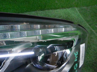 DSCN5647.JPG