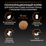 Сухой корм PRO PLAN EVERYDAY NUTRITION для взрослых собак крупных пород с мощным телосложением курица 14 кг