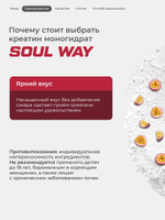 Креатин моногидрат с маракуйей 300 г Soul Way