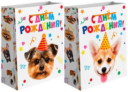 Пакет подарочный, 210гр, Собачка в колпачке, Лаковый, 32*26*12 см