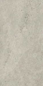 METROPOLIS ABSOLYUT SILVER (МЕТРОПОЛИС АБСОЛЮТ СИЛЬВЕР) 1200*600 керамогранит, натуральный