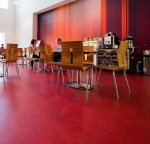 marmoleum real