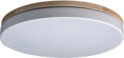 Потолочный светильник Axel 10001/36 White Loft It