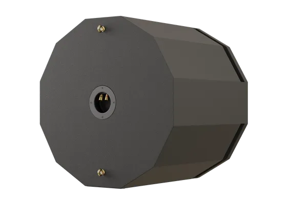 CVGAUDIO SUBone model D-6BL/CR подвесной пассивный сабвуфер