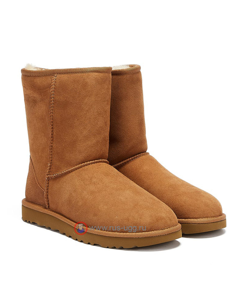 MEN'S CLASSIC SHORT II Chestnut