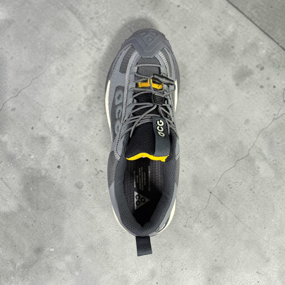 Nike Acg Mountain Fly 2 Low  Gore-Tex • Cream Gray