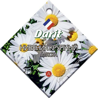 Ромашка (нивяник) Аляска, семена Дарит 0,3г