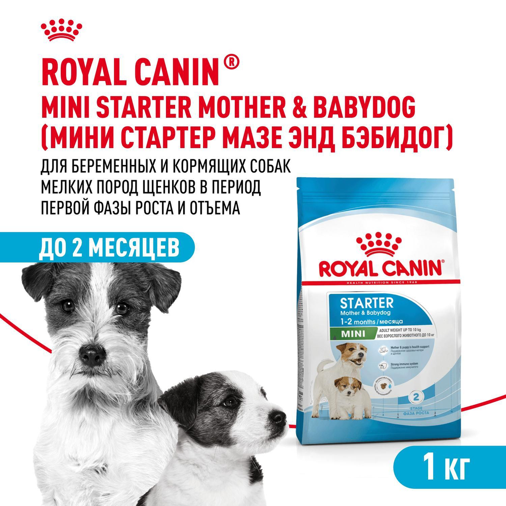 Royal Canin Mini Starter Мини Стартер Корм сухой для собак мелких пород в конце беременности в период лактации для щенков до 2-х месяцев 1кг