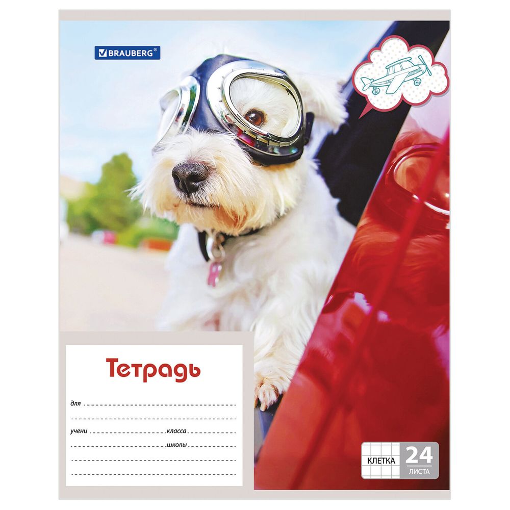 Тетрадь 24 л. BRAUBERG, клетка, обложка картон, MY BEST FRIEND, 403007, 5шт