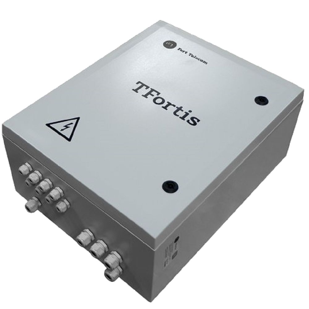 Уличный коммутатор на 4 PoE порта TFortis PSW-2G +UPS-Box