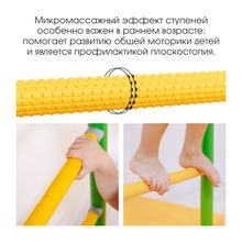 Домашний спортивный комплекс ROMANA С4 (синяя слива)