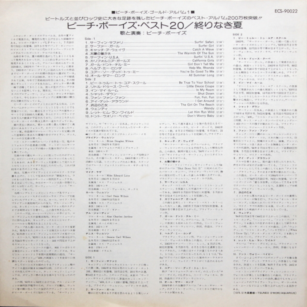The Beach Boys / Endless Summer (LP)