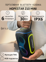 Портативная колонка Hopestar Party 210mini, 30Вт,черный
