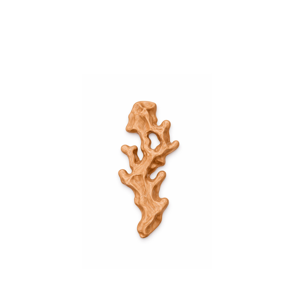 Дверная мебельная ручка Coral