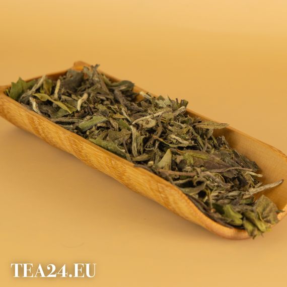 Herbata Bai Mudan