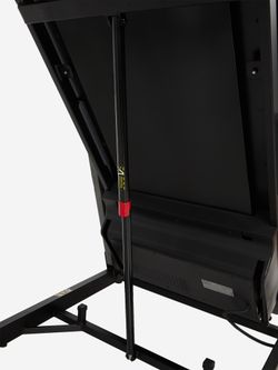 Беговая дорожка Torneo Selecta T-330
