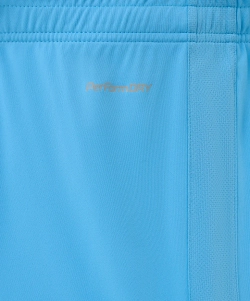 Шорты игровые Jogel DIVISION PerFormDRY Union Shorts-K, голубой S2