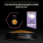 Корм с индейкой для котят для здоровья пищеварения Pro Plan РАЗВЕСНОЙ