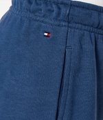 Брюки VARSITY EMBR CARGO Tommy Hilfiger - голубой(KB0KB09120)