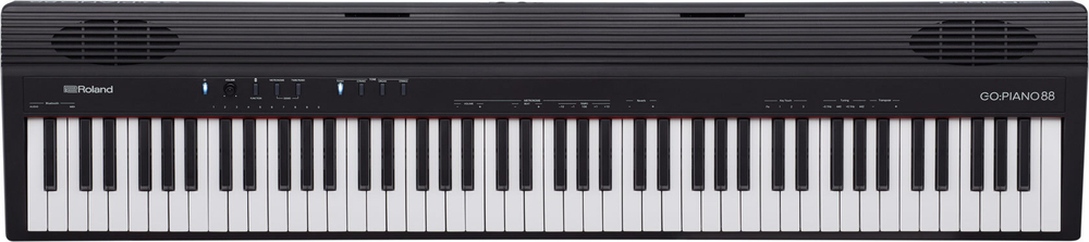 Roland GO-88P