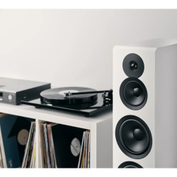 Напольная акустика Dynaudio Emit 50
