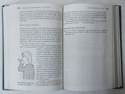 Принципы психологии развития