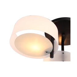 Светильник потолочный Evoluce Foresta SL483.402.03