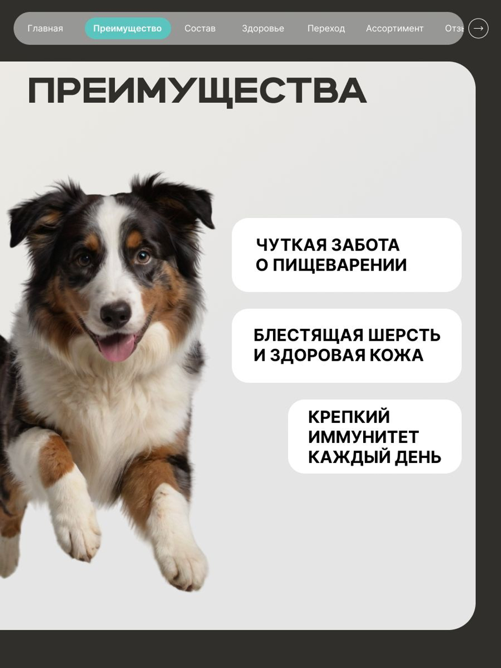 Корм сухой для средних и крупных собак, чувствительное пищеварение, с кроликом, 12 кг, QUATTRO