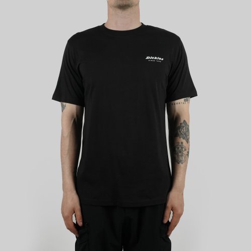 Футболка мужская Dickies Quamba артикул:DK0A4X9JBLK1 - купить в магазине Дайс