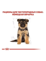 ROYAL CANIN German Shepherd Puppy PRO (Роял Канин немецкая овчарка Паппи) корм сухой для собак 16 кг.