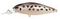 Воблер плавающий LJ ORIGINAL SHAD-XDR F 08.00/004
