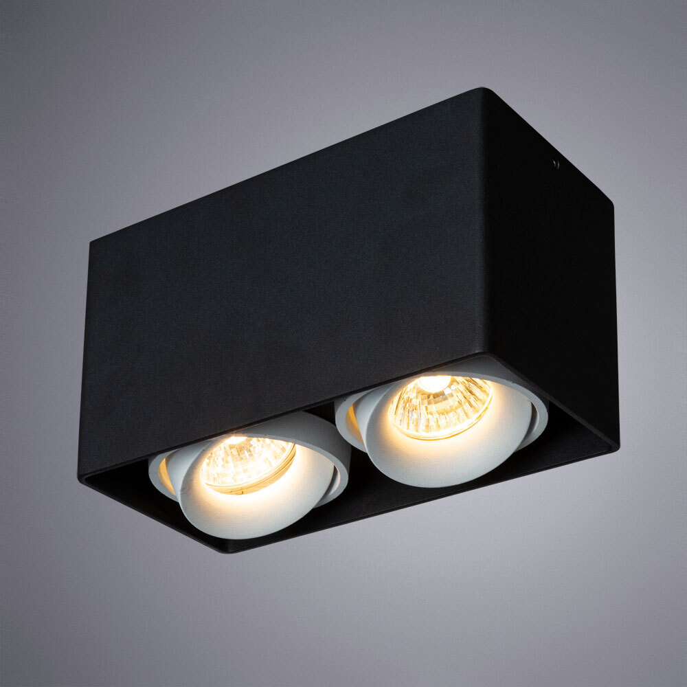 Светильник потолочный Arte Lamp Pictor A5654PL-2BK