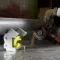 Ручная гильотина сабельного типа Rollbend RGM 1300x1.5