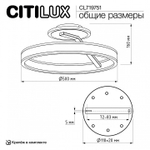 Светильник на штанге Citilux Дуэт CL719751