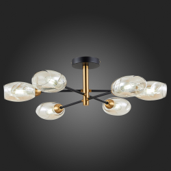 Светильник потолочный Evoluce Gloa SLE155502-06