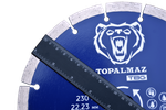 Диск по бетону TOPALMAZ 230 мм, сегмент 10 мм высота