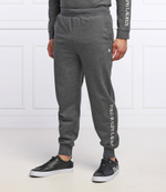 спортивные штаны POLO RALPH LAUREN - графитовый(714862619)